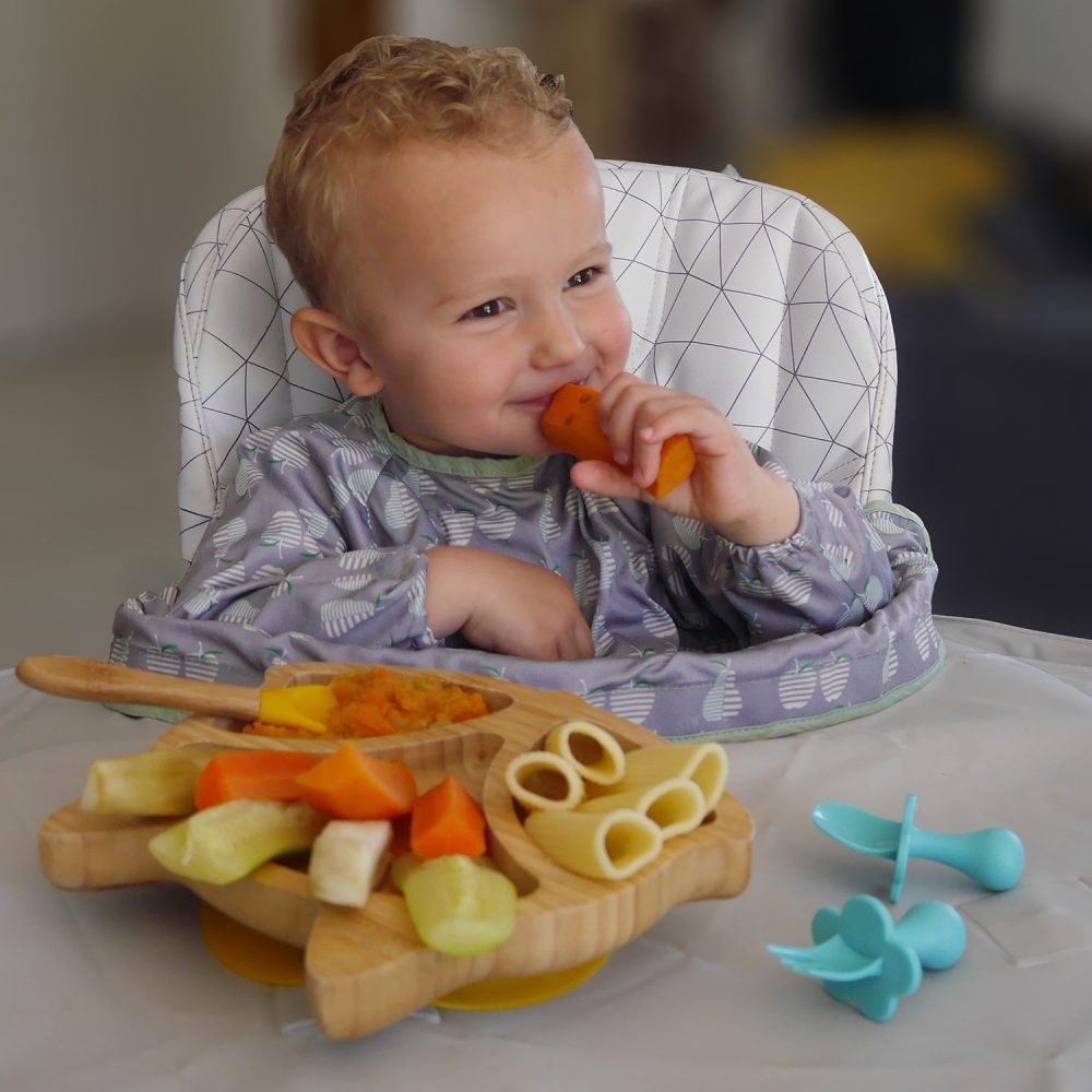 carré-diversibaby-alimentaire-bébé-recettes-comment-commencer-aliment-enfant-purée-légumes-sans-gluten-vegan-sans-lactose-lait-allaitement-nourrisson-blog-informations-conseils-professionnel-pédiatre-dme