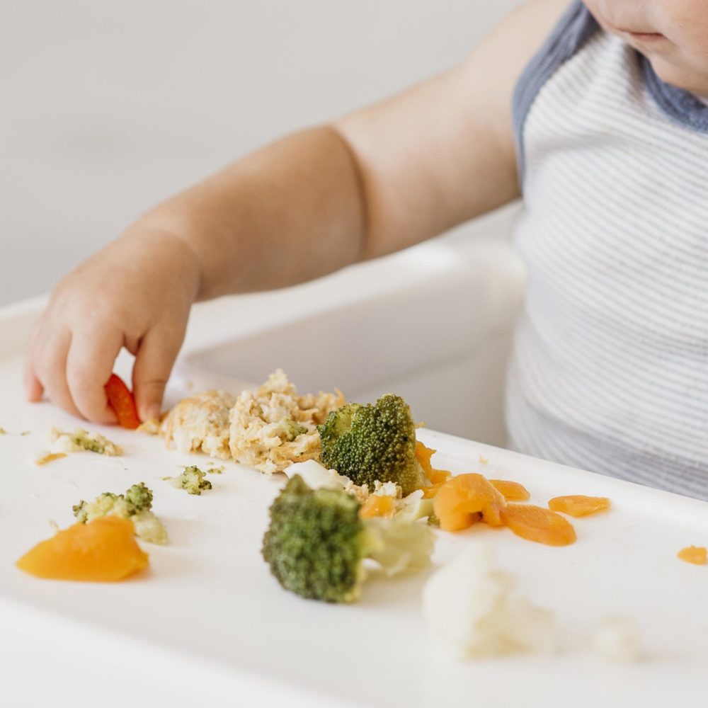 logo-diversibaby-diversification-alimentaire-bébé-recettes-comment-commencer-aliment-enfant-purée-légumes-sans-gluten-vegan-sans-lactose-lait-allaitement-nourrisson-blog-informations-conseils-professionnel-pédiatre-dme-4