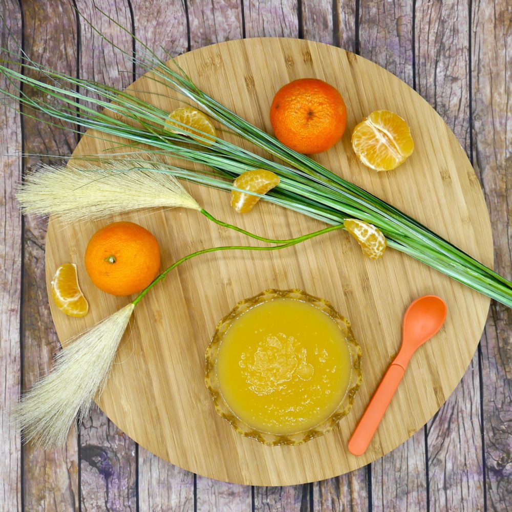 assiettes-diversibaby-alimentaire-bébé-recettes-comment-commencer-aliment-enfant-purée-légumes-sans-gluten-vegan-sans-lactose-lait-allaitement-nourrisson-blog-informations-conseils-professionnel-pédiatre-dme-8